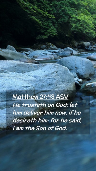 Picture 02 - Matthew 27:43 ASV Mobile Phone Wallpaper - He trusteth on God; let him deliver him now, if - Mobile Bible Verse Wallpaper