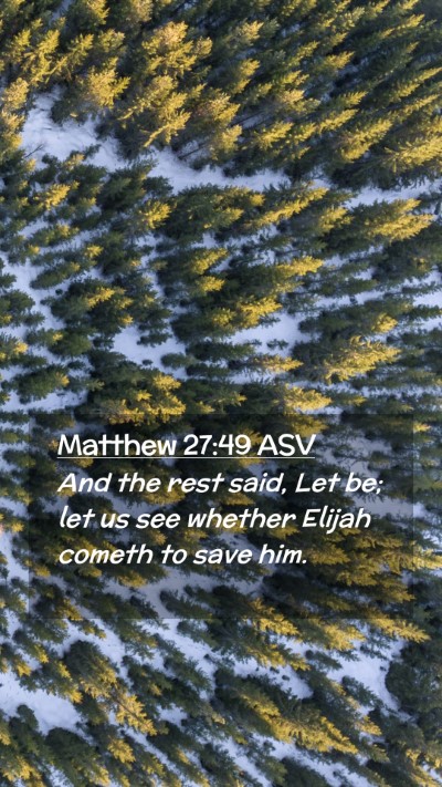 Picture 02 - Matthew 27:49 ASV Mobile Phone Wallpaper - And the rest said, Let be; let us see whether - Mobile Bible Verse Wallpaper