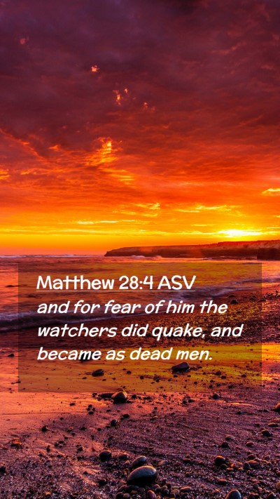 Picture 02 - Matthew 28:4 ASV Mobile Phone Wallpaper - and for fear of him the watchers did quake, and - Mobile Bible Verse Wallpaper