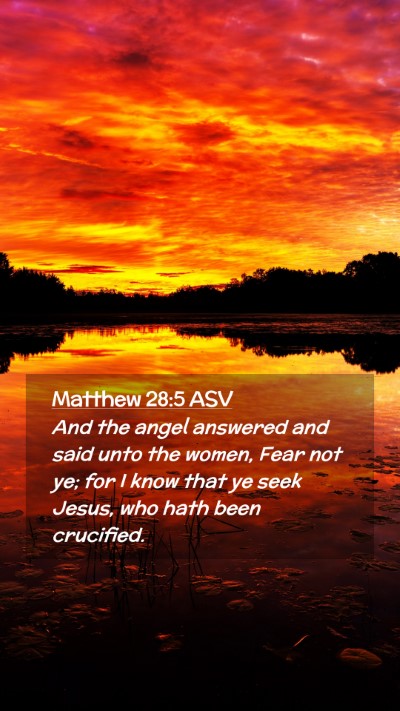 Picture 02 - Matthew 28:5 ASV Mobile Phone Wallpaper - And the angel answered and said unto the women, - Mobile Bible Verse Wallpaper
