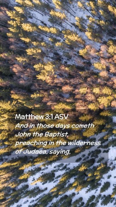 Picture 02 - Matthew 3:1 ASV Mobile Phone Wallpaper - And in those days cometh John the Baptist, - Mobile Bible Verse Wallpaper