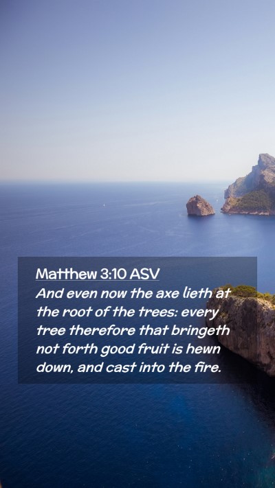 Picture 02 - Matthew 3:10 ASV Mobile Phone Wallpaper - And even now the axe lieth at the root of the - Mobile Bible Verse Wallpaper