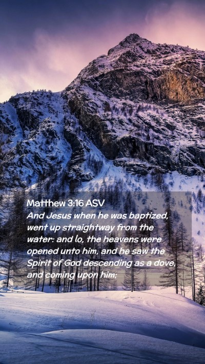 Picture 02 - Matthew 3:16 ASV Mobile Phone Wallpaper - And Jesus when he was baptized, went up - Mobile Bible Verse Wallpaper