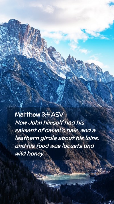 Picture 02 - Matthew 3:4 ASV Mobile Phone Wallpaper - Now John himself had his raiment of camel's hair, - Mobile Bible Verse Wallpaper