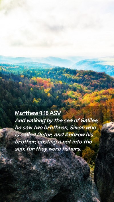 Picture 02 - Matthew 4:18 ASV Mobile Phone Wallpaper - And walking by the sea of Galilee, he saw two - Mobile Bible Verse Wallpaper
