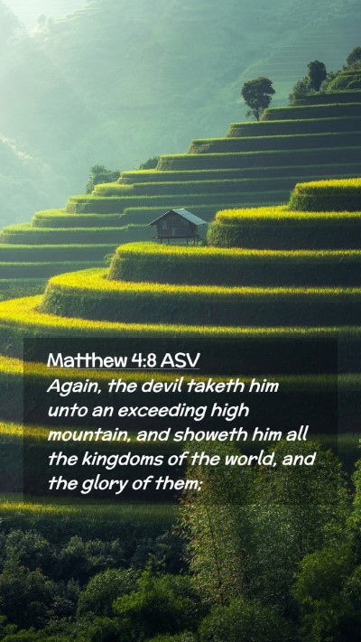 Picture 02 - Matthew 4:8 ASV Mobile Phone Wallpaper - Again, the devil taketh him unto an exceeding - Mobile Bible Verse Wallpaper