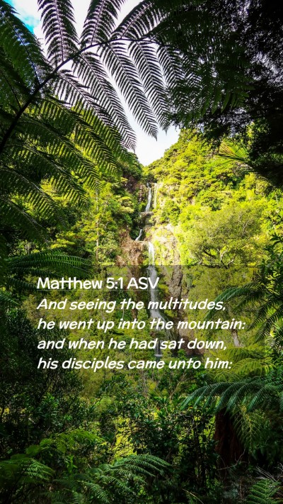 Picture 02 - Matthew 5:1 ASV Mobile Phone Wallpaper - And seeing the multitudes, he went up into the - Mobile Bible Verse Wallpaper