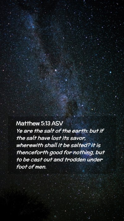 Picture 02 - Matthew 5:13 ASV Mobile Phone Wallpaper - Ye are the salt of the earth: but if the salt - Mobile Bible Verse Wallpaper