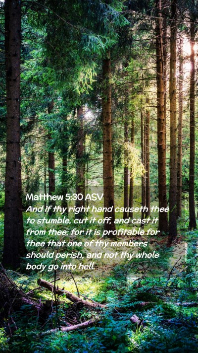 Picture 02 - Matthew 5:30 ASV Mobile Phone Wallpaper - And if thy right hand causeth thee to stumble, - Mobile Bible Verse Wallpaper