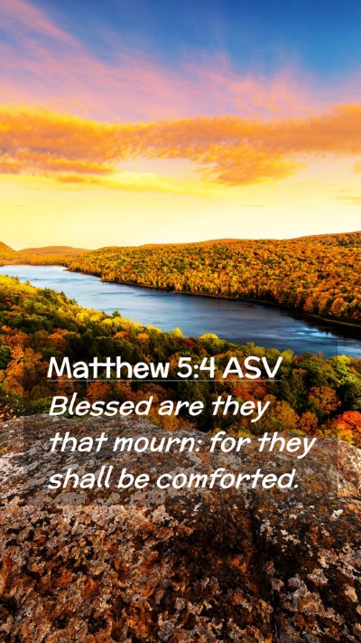 Picture 02 - Matthew 5:4 ASV Mobile Phone Wallpaper - Blessed are they that mourn: for they shall be - Mobile Bible Verse Wallpaper