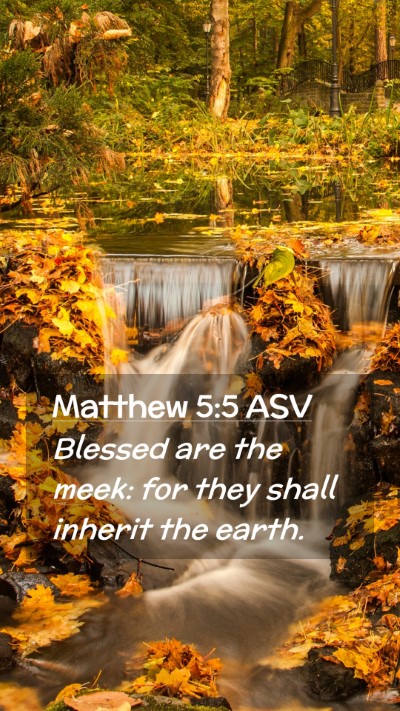 Picture 02 - Matthew 5:5 ASV Mobile Phone Wallpaper - Blessed are the meek: for they shall inherit the - Mobile Bible Verse Wallpaper