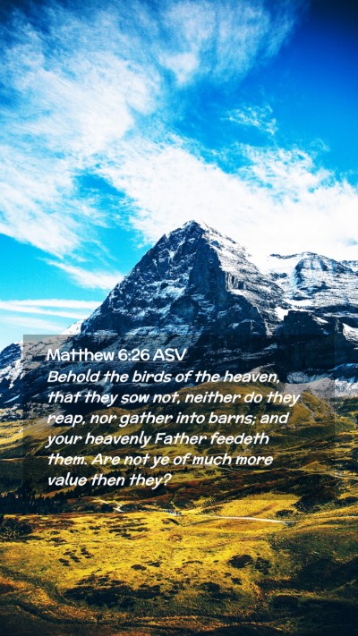 Picture 02 - Matthew 6:26 ASV Mobile Phone Wallpaper - Behold the birds of the heaven, that they sow - Mobile Bible Verse Wallpaper