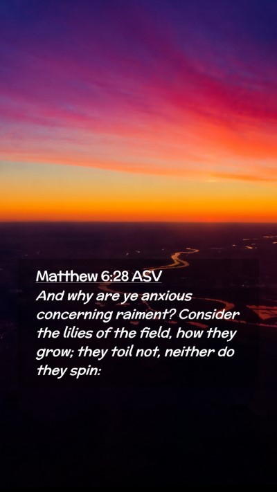 Picture 02 - Matthew 6:28 ASV Mobile Phone Wallpaper - And why are ye anxious concerning raiment? - Mobile Bible Verse Wallpaper