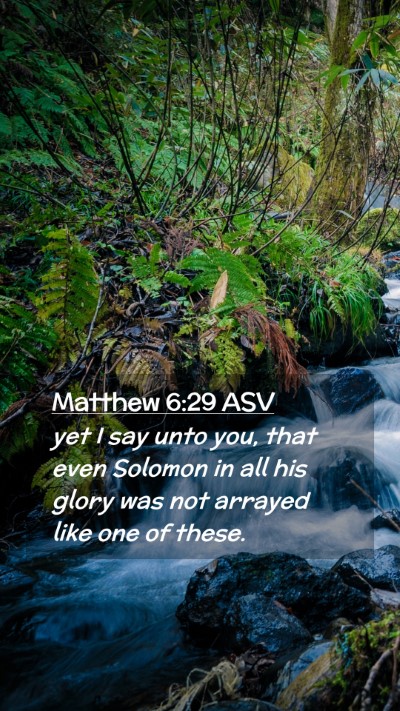Picture 02 - Matthew 6:29 ASV Mobile Phone Wallpaper - yet I say unto you, that even Solomon in all his - Mobile Bible Verse Wallpaper
