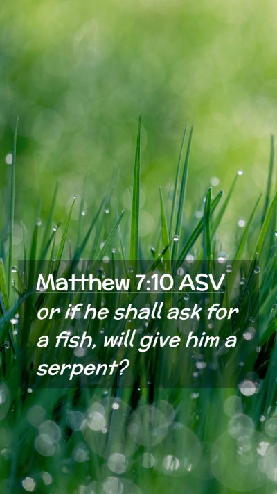 Picture 02 - Matthew 7:10 ASV Mobile Phone Wallpaper - or if he shall ask for a fish, will give him a - Mobile Bible Verse Wallpaper