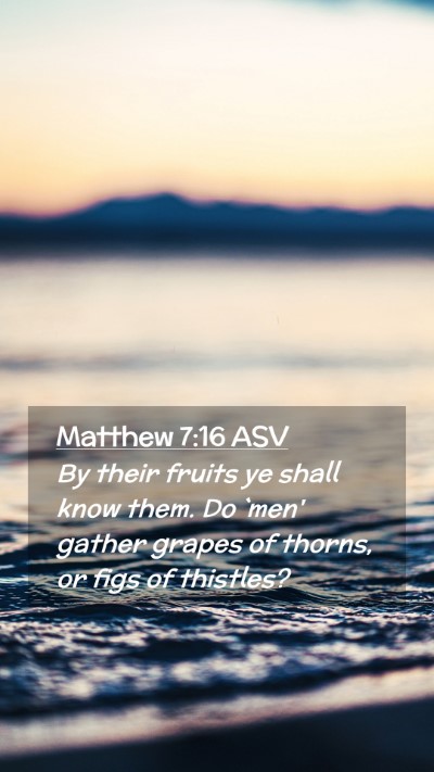 Picture 02 - Matthew 7:16 ASV Mobile Phone Wallpaper - By their fruits ye shall know them. Do `men' - Mobile Bible Verse Wallpaper