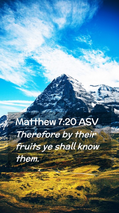 Picture 02 - Matthew 7:20 ASV Mobile Phone Wallpaper - Therefore by their fruits ye shall know - Mobile Bible Verse Wallpaper
