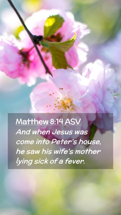 Picture 02 - Matthew 8:14 ASV Mobile Phone Wallpaper - And when Jesus was come into Peter's house, he - Mobile Bible Verse Wallpaper
