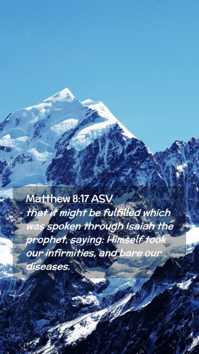 Picture 02 - Matthew 8:17 ASV Mobile Phone Wallpaper - that it might be fulfilled which was spoken - Mobile Bible Verse Wallpaper