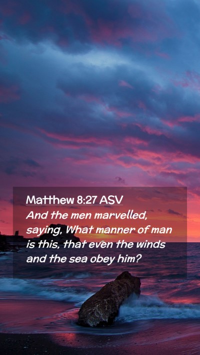 Picture 02 - Matthew 8:27 ASV Mobile Phone Wallpaper - And the men marvelled, saying, What manner of man - Mobile Bible Verse Wallpaper