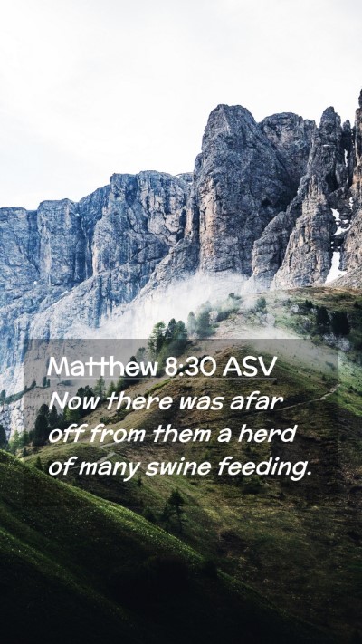 Picture 02 - Matthew 8:30 ASV Mobile Phone Wallpaper - Now there was afar off from them a herd of many - Mobile Bible Verse Wallpaper