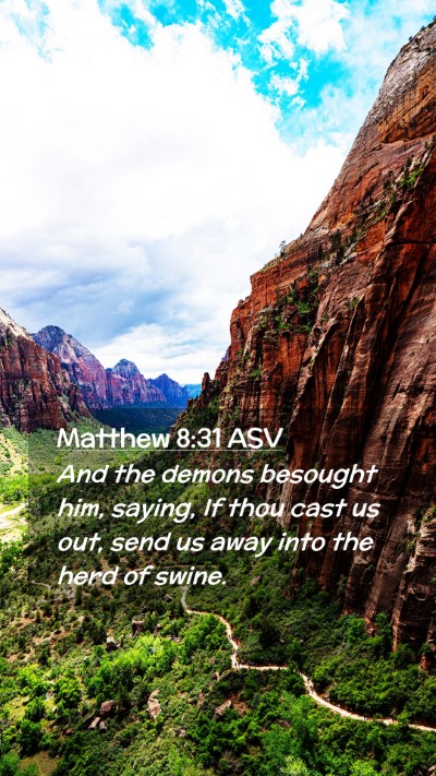 Picture 02 - Matthew 8:31 ASV Mobile Phone Wallpaper - And the demons besought him, saying, If thou cast - Mobile Bible Verse Wallpaper
