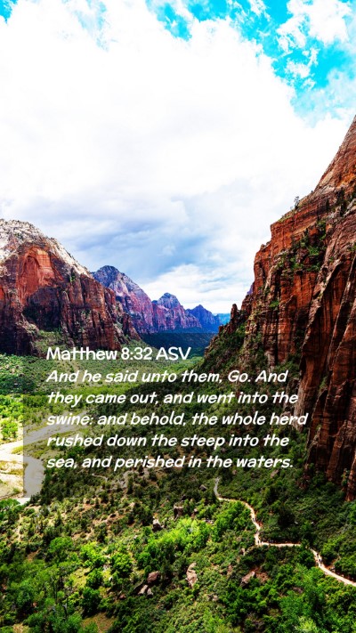 Picture 02 - Matthew 8:32 ASV Mobile Phone Wallpaper - And he said unto them, Go. And they came out, and - Mobile Bible Verse Wallpaper