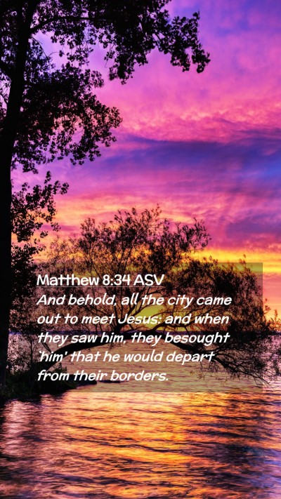 Picture 02 - Matthew 8:34 ASV Mobile Phone Wallpaper - And behold, all the city came out to meet Jesus: - Mobile Bible Verse Wallpaper