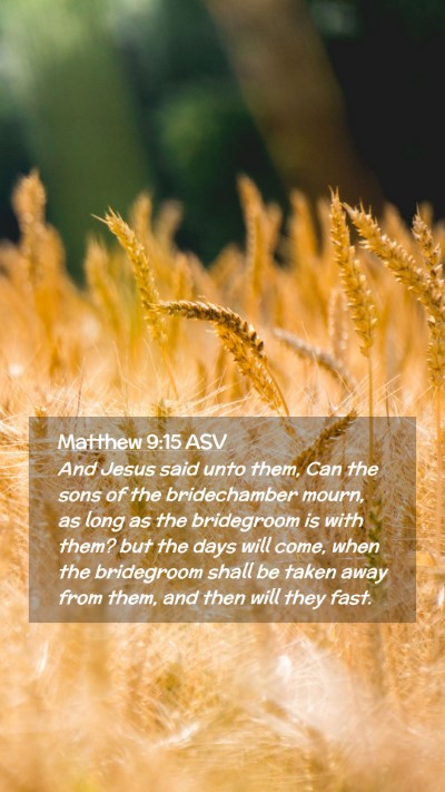 Picture 02 - Matthew 9:15 ASV Mobile Phone Wallpaper - And Jesus said unto them, Can the sons of the - Mobile Bible Verse Wallpaper
