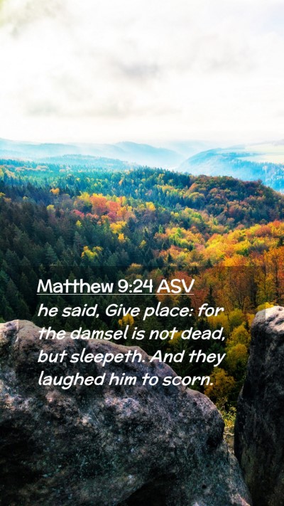 Picture 02 - Matthew 9:24 ASV Mobile Phone Wallpaper - he said, Give place: for the damsel is not dead, - Mobile Bible Verse Wallpaper