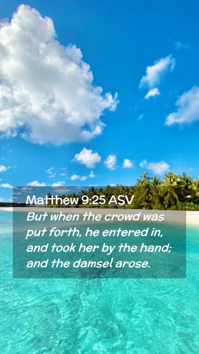 Picture 02 - Matthew 9:25 ASV Mobile Phone Wallpaper - But when the crowd was put forth, he entered in, - Mobile Bible Verse Wallpaper