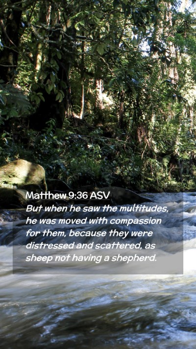 Picture 02 - Matthew 9:36 ASV Mobile Phone Wallpaper - But when he saw the multitudes, he was moved with - Mobile Bible Verse Wallpaper