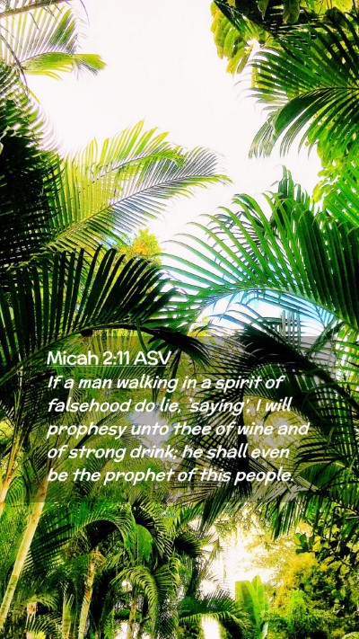 Picture 02 - Micah 2:11 ASV Mobile Phone Wallpaper - If a man walking in a spirit of falsehood do lie, - Mobile Bible Verse Wallpaper