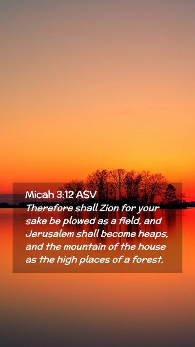 Picture 02 - Micah 3:12 ASV Mobile Phone Wallpaper - Therefore shall Zion for your sake be plowed as a - Mobile Bible Verse Wallpaper