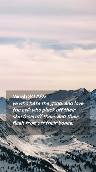 Picture 02 - Micah 3:2 ASV Mobile Phone Wallpaper - ye who hate the good, and love the evil; who - Mobile Bible Verse Wallpaper