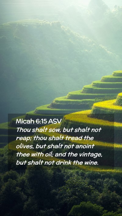 Picture 02 - Micah 6:15 ASV Mobile Phone Wallpaper - Thou shalt sow, but shalt not reap; thou shalt - Mobile Bible Verse Wallpaper