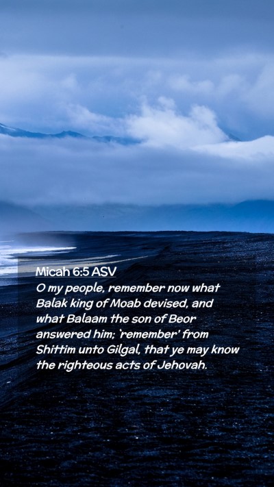 Picture 02 - Micah 6:5 ASV Mobile Phone Wallpaper - O my people, remember now what Balak king of Moab - Mobile Bible Verse Wallpaper