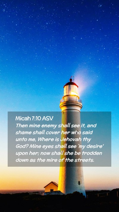 Picture 02 - Micah 7:10 ASV Mobile Phone Wallpaper - Then mine enemy shall see it, and shame shall - Mobile Bible Verse Wallpaper