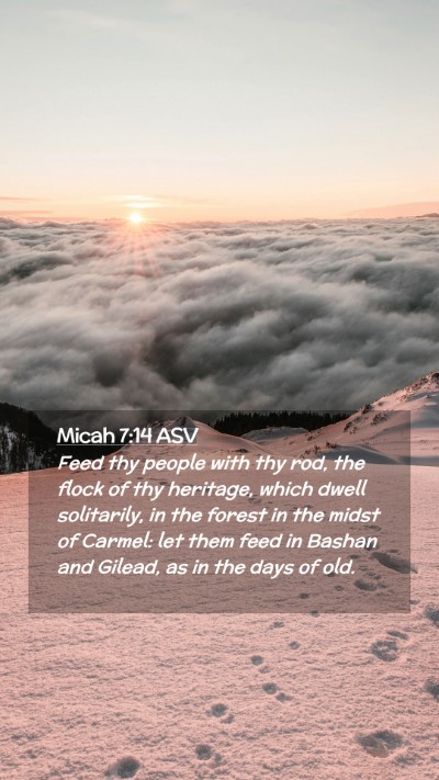 Picture 02 - Micah 7:14 ASV Mobile Phone Wallpaper - Feed thy people with thy rod, the flock of thy - Mobile Bible Verse Wallpaper