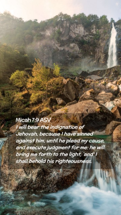 Picture 02 - Micah 7:9 ASV Mobile Phone Wallpaper - I will bear the indignation of Jehovah, because I - Mobile Bible Verse Wallpaper