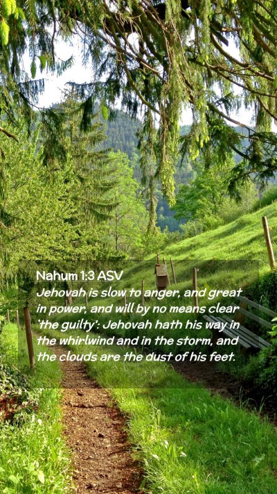 Picture 02 - Nahum 1:3 ASV Mobile Phone Wallpaper - Jehovah is slow to anger, and great in power, and - Mobile Bible Verse Wallpaper