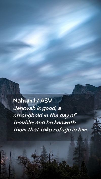 Picture 02 - Nahum 1:7 ASV Mobile Phone Wallpaper - Jehovah is good, a stronghold in the day of - Mobile Bible Verse Wallpaper