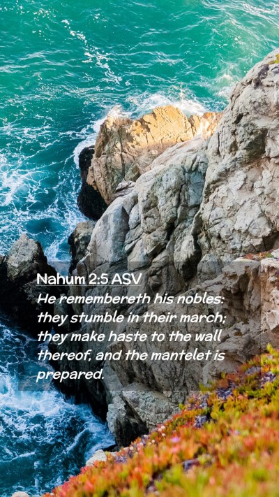 Picture 02 - Nahum 2:5 ASV Mobile Phone Wallpaper - He remembereth his nobles: they stumble in their - Mobile Bible Verse Wallpaper