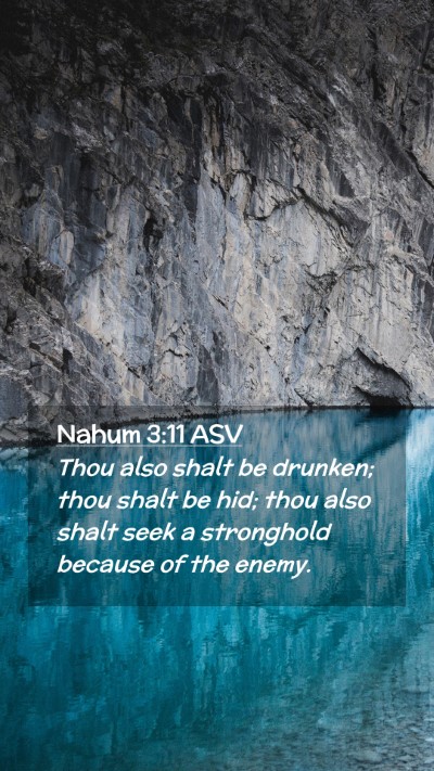 Picture 02 - Nahum 3:11 ASV Mobile Phone Wallpaper - Thou also shalt be drunken; thou shalt be hid; - Mobile Bible Verse Wallpaper