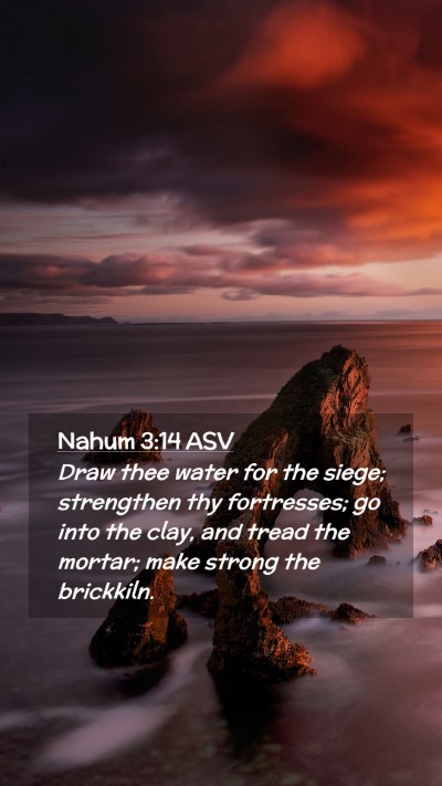 Picture 02 - Nahum 3:14 ASV Mobile Phone Wallpaper - Draw thee water for the siege; strengthen thy - Mobile Bible Verse Wallpaper
