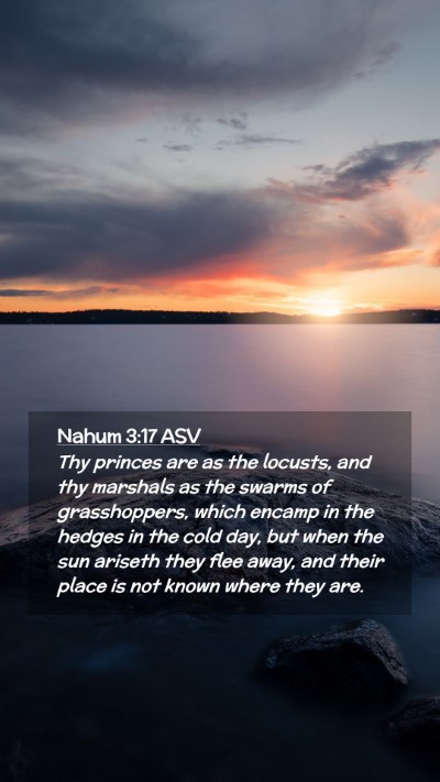 Picture 02 - Nahum 3:17 ASV Mobile Phone Wallpaper - Thy princes are as the locusts, and thy marshals - Mobile Bible Verse Wallpaper