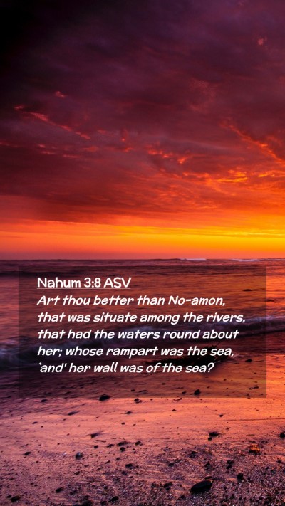 Picture 02 - Nahum 3:8 ASV Mobile Phone Wallpaper - Art thou better than No-amon, that was situate - Mobile Bible Verse Wallpaper