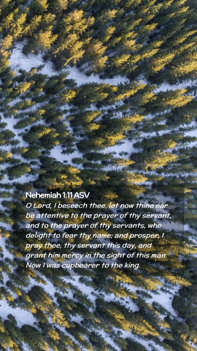 Picture 02 - Nehemiah 1:11 ASV Mobile Phone Wallpaper - O Lord, I beseech thee, let now thine ear be - Mobile Bible Verse Wallpaper