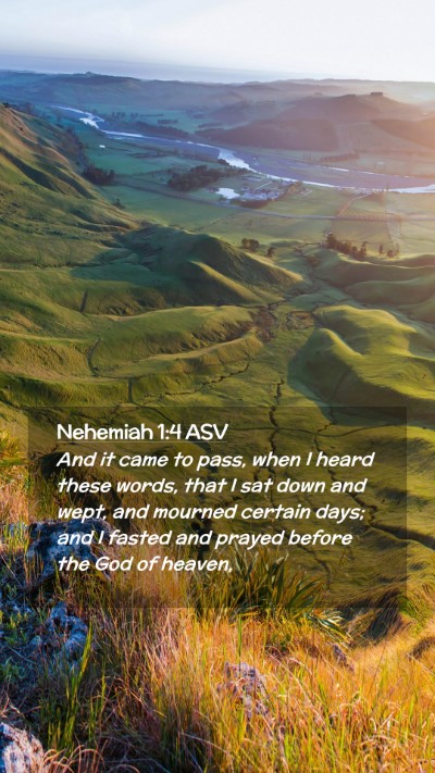 Picture 02 - Nehemiah 1:4 ASV Mobile Phone Wallpaper - And it came to pass, when I heard these words, - Mobile Bible Verse Wallpaper