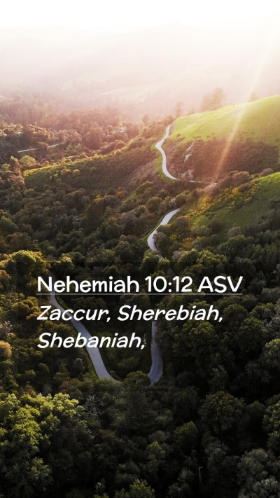 Picture 02 - Nehemiah 10:12 ASV Mobile Phone Wallpaper - Zaccur, Sherebiah, - Mobile Bible Verse Wallpaper